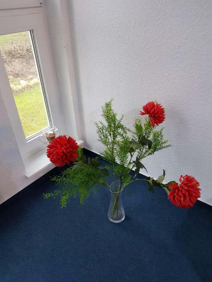 Da Ferienwohnungen Bargischow Eksteriør billede